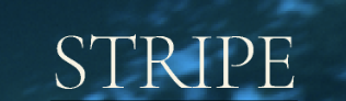 Stripe wordmark over a deep blue background
